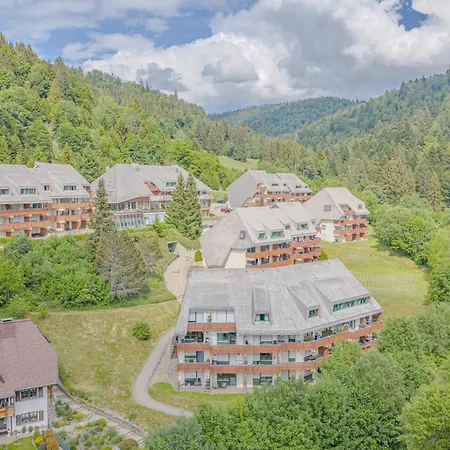 Todtmoosblick Mit Panoramabalkon - Mein Swh Апартаменты