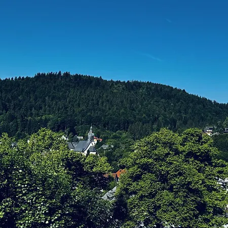 Todtmoosblick Mit Panoramabalkon - Mein Swh Апартаменты *